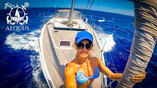 Dodging Lobster Pots (and boat humping Whales!) 🤣 we sail to Dominican Republic | Aequus Ep.11