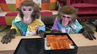 はじめて「うなぎ」を食べたお猿さん…え？こんなに元気になるの？