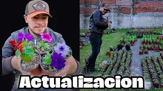 Actualización de las 1000 plantas que compramos || Huerto Citadino