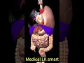 internal organs of human body #their names #location of organ in body# medical LK smart