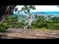 3-15-15 Ualaka'a - Moleka Trail