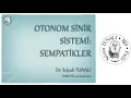 Download Lagu Otonom Sinir Sistemi: Sempatikler