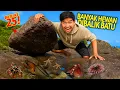 Download Lagu BALIK 25 BATU DI LAUT SURUT! NEMUIN BANYAK BANGET MAKHLUK LAUT ANEH DI PANGANDARAN! KITA BAWA PULANG
