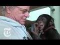 Animals Are Persons Too Op-Docs The New York Times