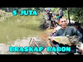Lagu Tiket murah ikan mewah‼️ikan braskap 5 kg up ikan bawal besa-besar, 5 juta 17 peserta