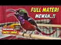 Download Lagu KOLIBRI NINJA GACOR FULL BONGKAR MATERI BELALANG EMAS !! MASTERAN KONIN FULL ISIAN ROLL TEMBAK MEWAH