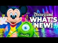 Download Lagu Top 10 NEW Disney Attraction Updates \u0026 Changes at Disneyland Summer 2025