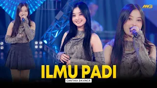 cantika davinca ilmu padi feat bintang fortuna official music video 