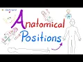 Anatomical Body Positions and their Clinical Implications Upright Supine Decubitus