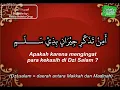 Lagu Burdah Al bushiri (Fasl 1/10) 12 bait - Fadwa elmaliky - terjemah indonesia