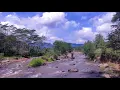Download Lagu RELAKSASI PAGI : SUARA AIR MENGALIR DAN KICAUAN BURUNG | MUSIK SULING SUNDA NO COPYRIGHT