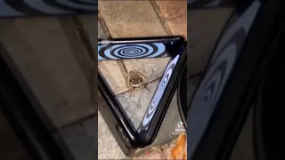 قلبي طاح ف سروالي 