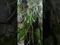 Download Lagu Hujan pagi hari