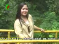Lagu WIS PEGEL nina agustin @ lagu tarling
