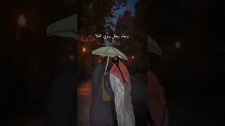 رأيتك نورا مبينا أزاح الحجاب أنار طريق السراه رأيتك في كل شيء جميل 