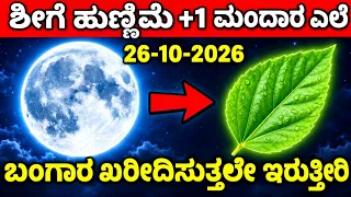 ನಾಳೆ ಅಕ್ಟೋಬರ್ 26 ಹುಣ್ಣಿಮೆ ದಿನ// ಮಂದಾರ ಎಲೆ ಯಿಂದ ಹೀಗೆ ಮಾಡಿ // ಬಂಗಾರ ಖರೀದಿಸುತ್ತಲೆ ಇರುತ್ತೀರಾ 