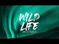 OneRepublic - Wild Life (Lyrics)