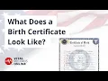 What Does a Birth Certificate Look Like Vital Records Online