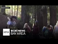 Castro Valley residents oppose plan for outdoor kids camp due to site location