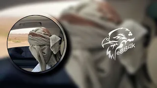 انا ذيب بنص ربعي كامل يوسف ترند تيك توك 