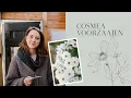 Download Lagu Cosmea voorzaaien - MAY \u0026 JUNE