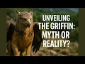 Download Lagu Unveiling the Griffin: Myth or Reality? | Facts and Stories plus!
