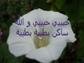 Download Lagu صلى الله على محمد -  نور الدين خورشيد Islamic arabic nasheed