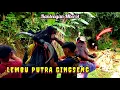 Download Lagu Kejar Bocil Pasukan Sorak Sampai Ke Ladang - Bantengan LEMBU PUTRA GINGSENG Live Buring Gang 10