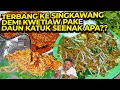 Download Lagu TERBANG KE SINGKAWANG DEMI KWETIAW PAKE DAUN KATUK SEENAK APA??