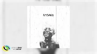 kelvin momo and kabza de small qhoqhoqho ft mawhoo makhanj official audio
