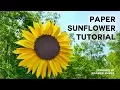 Make a Giant Paper Sunflower Tutorial with Fibonacci Sequence Seed Head
