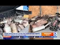 Police seize 1 800 in stolen catalytic converters during L A County raid