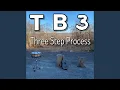 Three Step Process Woods Version