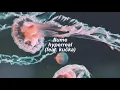 flume - hyperreal [feat. kučka] (slowed + reverb)