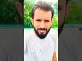 Download Lagu WhatsApp Status #status #ytshorts #love #shortsfeed #lifeisbutadream #statusvideo #fypage #fypviral