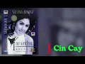 Download Lagu 016_2. Ine Sinthya - Cin Cay