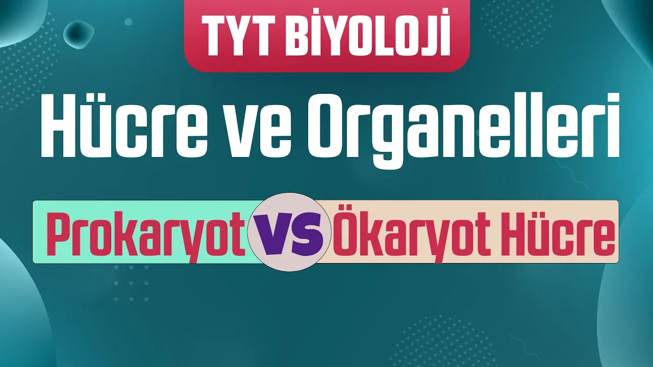 14) Hücre ve Organelleri : Prokaryot ve Ökaryot Hücre Farkları