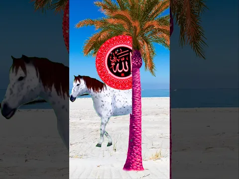 Madina ke musafir #Shorts #ytshorts