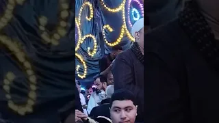 هاني الصعيدي موال إبن الأصول فرحه الحاج حماده الباشا 