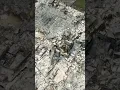 Block by block drone over a burned Spokane neighborhood