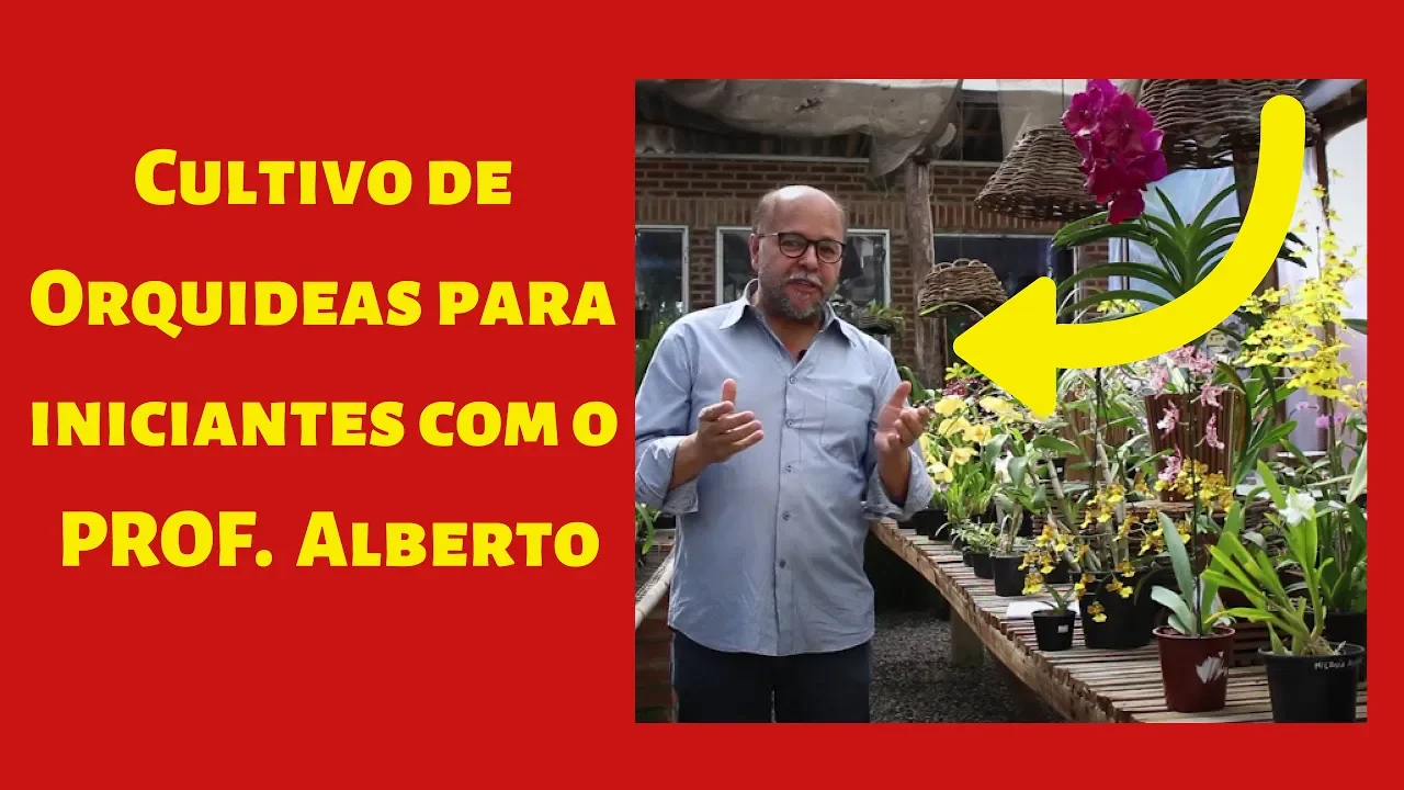 CULTIVO DE ORQUÍDEAS PARA INICIANTES COM O PROF: ALBERTO