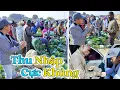 Download Lagu Đông Paulo || Bán Được Giá Vậy Sao? Thu Nhập Cực Khủng Từ Vườn Bắp Cải Khi Mang Ra Chợ Huyện!
