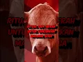 Download Lagu Ritual Sapi merah untuk menghancurkan Masjidil Aqsa.