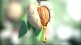 Реклама Head Shoulders Head Shoulders увлажняющий уход с миндальным маслом 