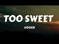 Download Lagu Hozier - Too Sweet (Lyrics)