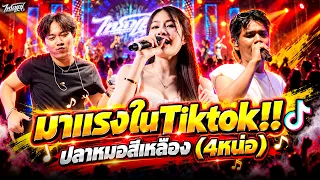 จัดให้มันส์ๆ!! #เพลงฮิตในTiktok ปลาหมอสีเหลือง(4หน่อ)+เพลงจีน+หมาเห่าๆ l แสดงสดไทรถแห่ล่าสุด