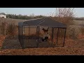 Game Winner 2-in-1 Dog Kennel 2 0 Review