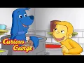 George the Orange Monkey Curious George Kids Cartoon Kids Movies