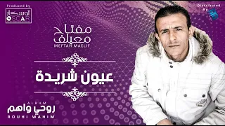                                   مفتاح معيلف   عيون شريدة دندنها
