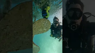 Scuba diving to clean our sailboats hull #sailingbyefelicia